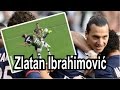Zlatan Ibrahimovic crazy taekwondo goals