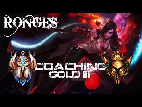 CHALLENGER COACHES GOLD 3 KATARINA