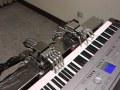 Dream wedding---played by piano robot