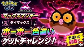 【🔴LIVE】【マックスマンデー】ダイマックスホーホー大量発生!? 「✨色違いゲットだぜ!!✨」【ポケモンGO】【Max Mondays!】