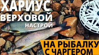 Настрой на наплыв ловля хариуса и ленка