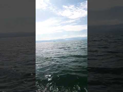 Lago del Estor Izabal, Guatemala😍😎 Mochileando por Guatemala 😎