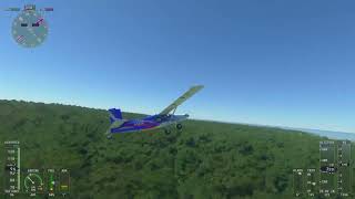 【msfs20】北センチネル島上空を飛んでみた