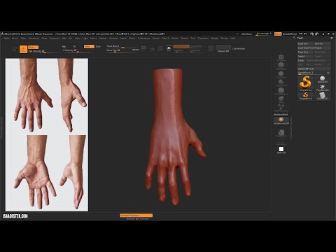 Introduction to Zbrush 15 - Hand 02