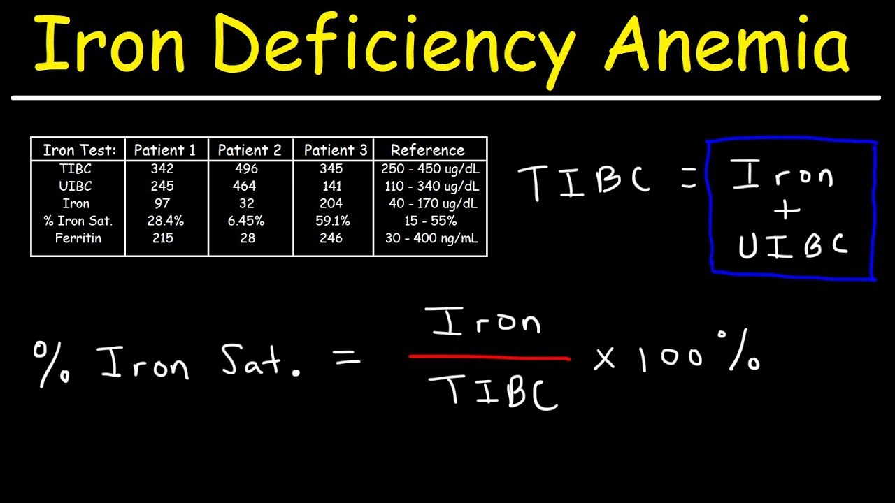 What Does High TIBC And UIBC Mean EN General