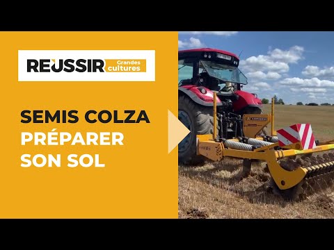 Colza : 5 conseils pour bien préparer son sol avant les semis