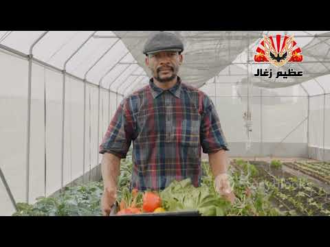 Wood Vinegar - Nature's Secret Elixir