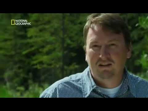 Documental   Ciencia al Desnudo   El misterio de la Cueva del Oso de Alaska