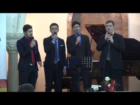 Melody Quartet - Tara mea