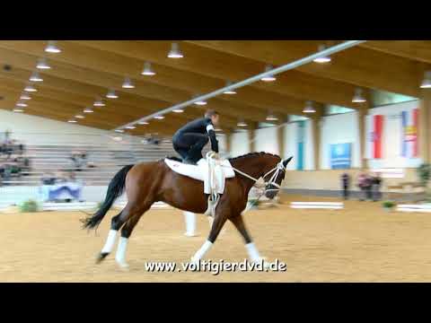 Philipp Stippel - Male 05 - DJM Voltigieren München 2018