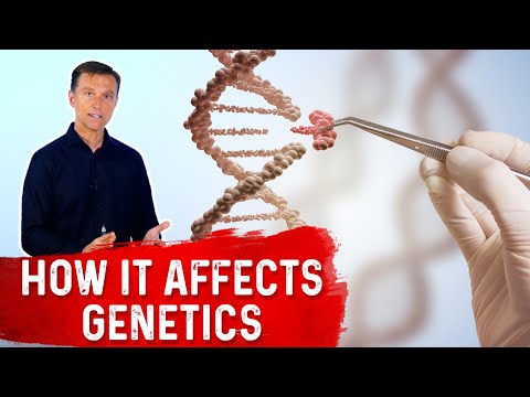 How to Overcome Adrenal Stress with Intermittent Fasting – Dr Berg