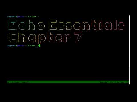 Echo Quick Start Guide | 7 Testing Applications