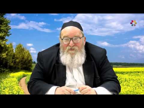 Rabbi Yitzchak Breitowitz - Weekly Torah Portion: Parshat Vayishlach