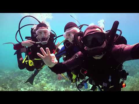 Family Diving with NAUI