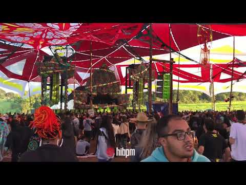 Árvore da Vida 2019 - Metronome