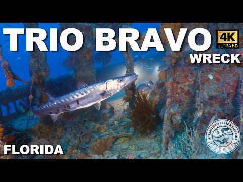Tec #Wreck Diving: Trio Bravo Tug (Fort Lauderdale, Florida)
