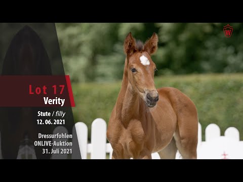 Onlive-Auktion Dressurfohlen Lot 17 Verity Stute v. Valdiviani - Ampere