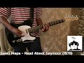Swell Maps - Read About Seymour (Guitar Cover)