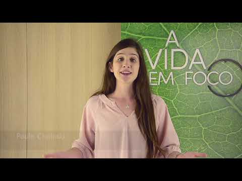 A Vida em Foco #245 - O Corpo Influencia o Espírito?