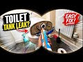 How To Fix A Leaking Toilet Plumber POV