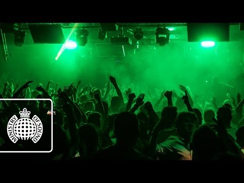 Mark Bale - Piepmatz