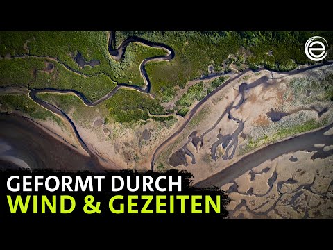 Die Ostfriesischen Inseln ‒ Geboren aus Sand | Erlebnis Erde