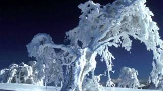 Petula Clark "The Happiest Christmas"  My Extended Version!