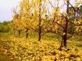 Matt Monro - All of a Sudden 