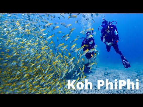 Ein kleiner Einblick in die Unterwasserwelt von Koh PhiPhi, Tauchen, Freitauchen, Schnorcheln
