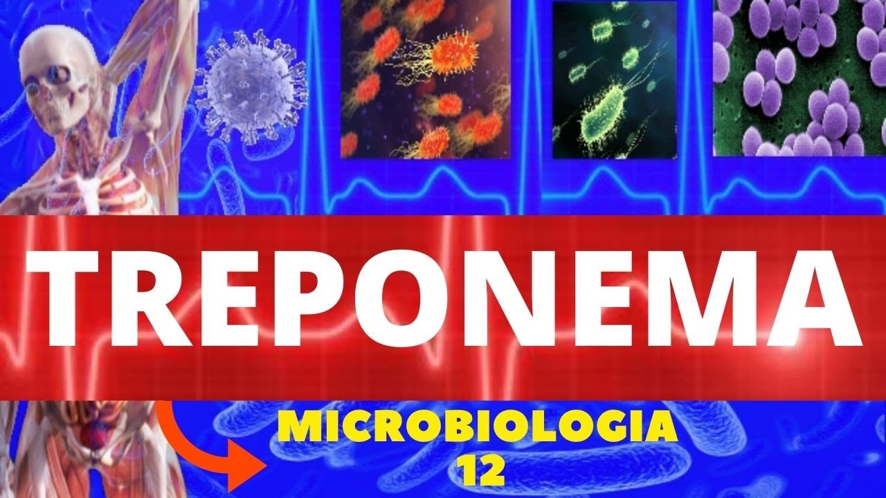 TREPONEMA - MICROBIOLOGIA (BACTÉRIAS PATOGÊNICAS) - TREPONEMA PALLIDUM (SÍFILIS)