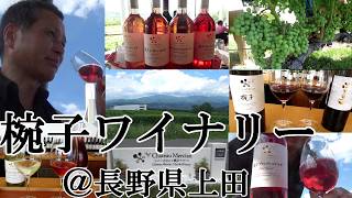 【日本ワイン筆頭…椀子ワイナリー訪問、長野県上田市！！】【シャトー・メルシャン、ワイナリー…かつて、椀子皇子の領地、由緒ある由来、上田エリアのテロワール、理想的なワイン用ブドウ！！】
