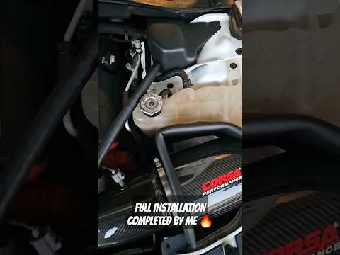 Hellcat's PREFER Corsa Air Intakes OVER Legmaker...💯💯💯