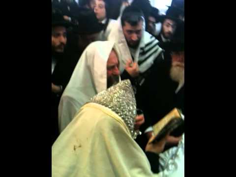 Schapira Bris 5772 2/3