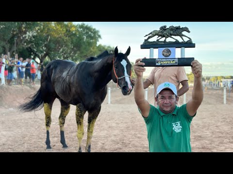 I GP HARAS CANELA DE VELHO - Várzea Grande do Piauí 2026 - CLASSIFICATORIA/FINAL