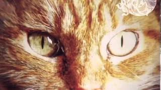 The New Elastics - It's Just A Word (Original Mix)