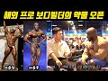 [국내최초] 해외 프로 보디빌더의 약투
