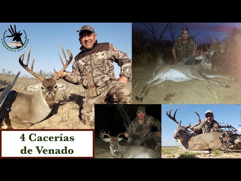 Hunting 4 Deer with Rifle and Bow for Large Trophies