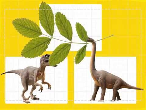 The Hundred Thousands Kid Book Video