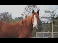 BEST OF MISSYSVLOGS 2014