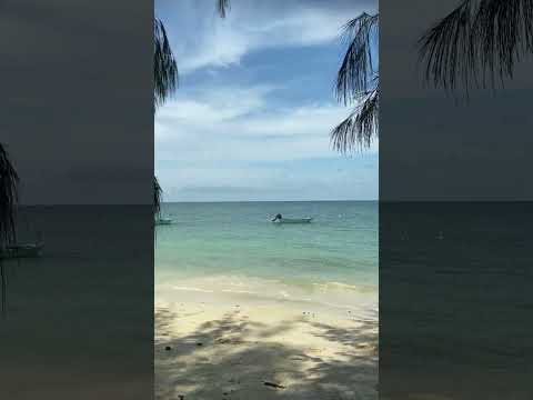 hame to loot liya husn walo ne || beautiful ❤️ beach 🏖️