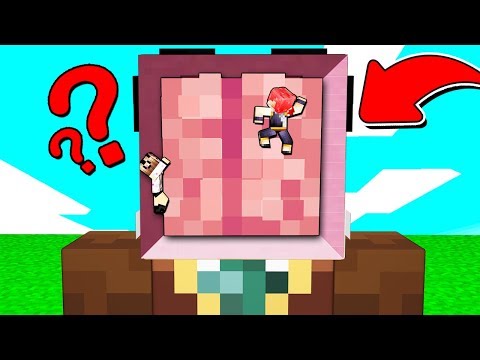 NASCONDINO NELLA TESTA DI LYON SU MINECRAFT!