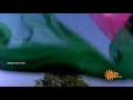 Selai Kattum Pennukkoru Vaasam Undu Kodi Parakkudhu HD Quality Clear Video Song