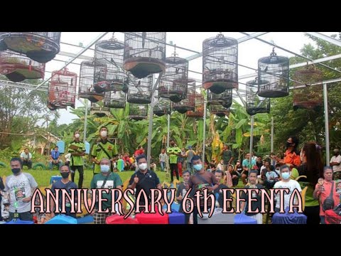 ANNIVERSARY 6th EFENTA