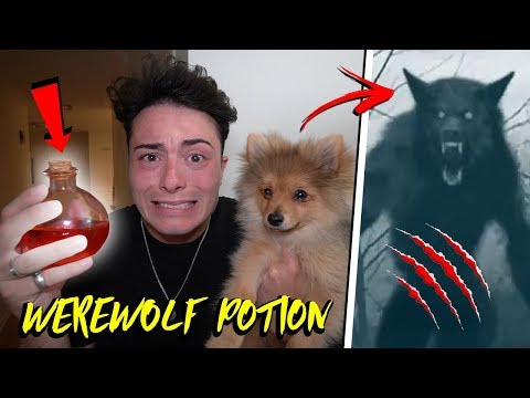 GIVING WEREWOLF POTION TO MY PUPPY AT 3 AM CHALLENGE!! *HE TRANSFORMED*