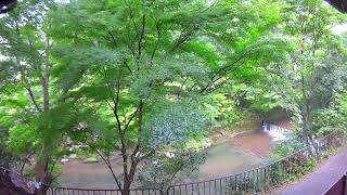 清滝川・ライブカメラ（金鈴橋北側） live webcam