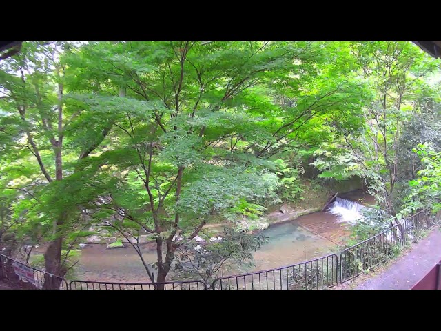 清滝川（嵯峨清滝町）