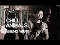 Sheng Wang | Chill Animals | Stand Up Comedy ...