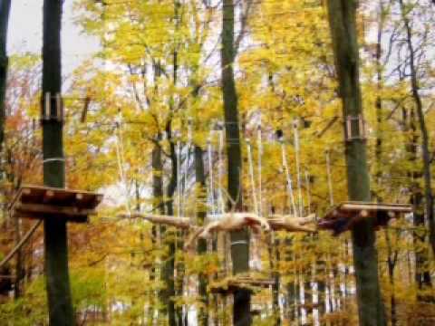 Kletterwald Scharnebeck