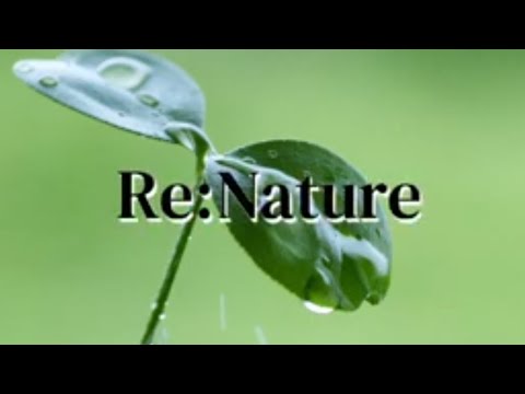 暴風雨ラバーマット 11月2日(木) すべるテラス