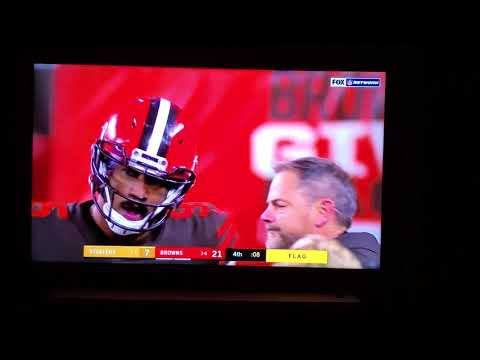 Browns vs. Steelers Full Fight